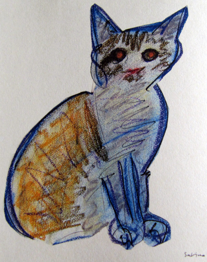 Un gato