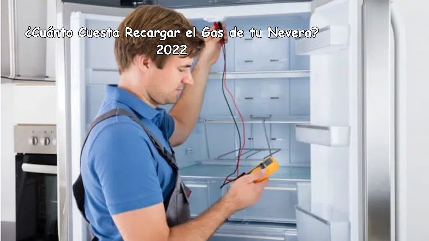 ¿Cuánto Cuesta Recargar el Gas de tu Nevera? 2022