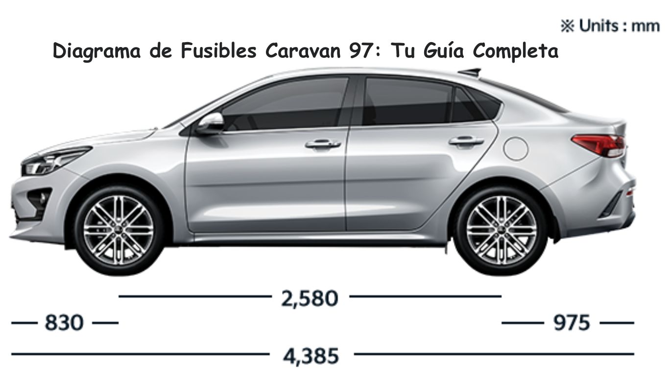 Medidas de un Auto: Guía para Todas las Marcas