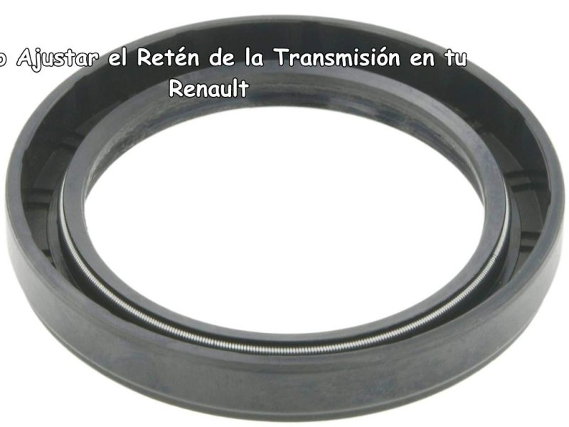 Cómo Ajustar el Retén de la Transmisión en tu Renault